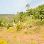 Sophia's * Ralaki